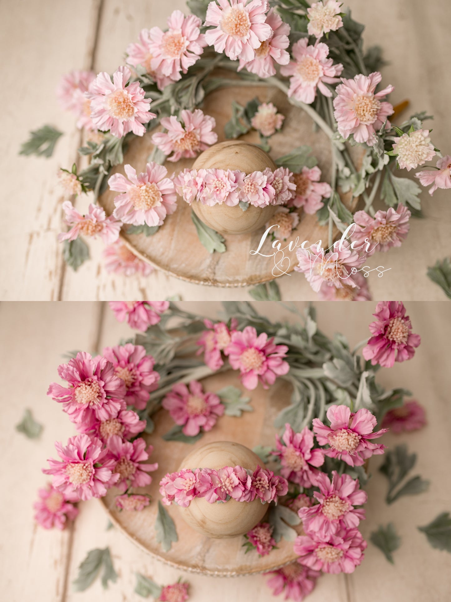 Evelyn Styled Set