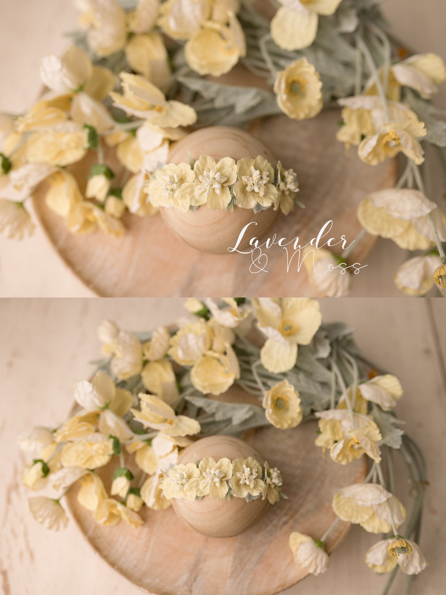 Pastel Poppies Floral Set