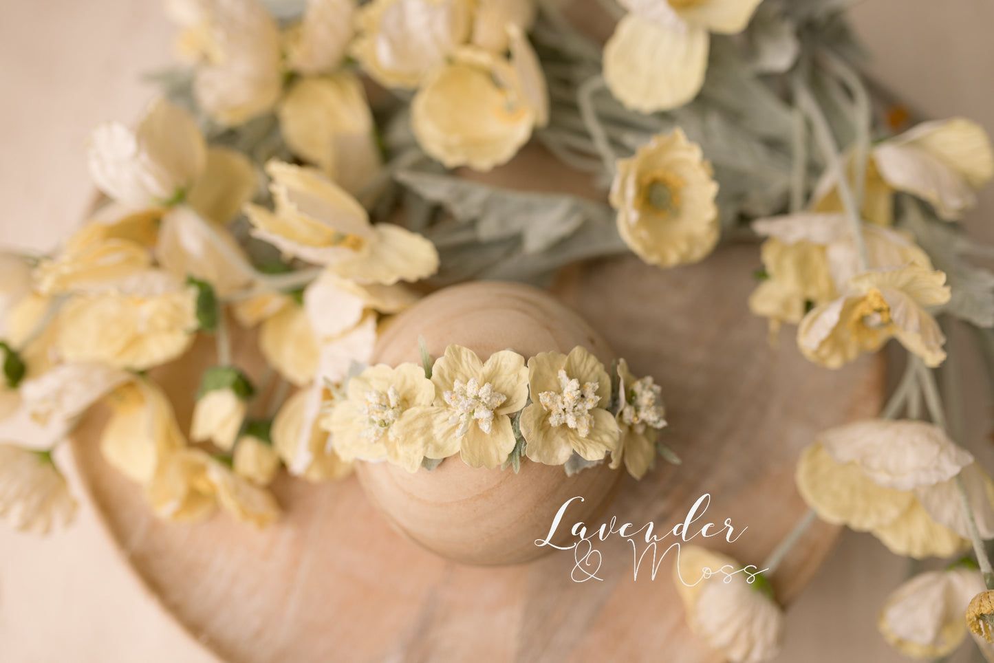 Pastel Poppies Floral Set