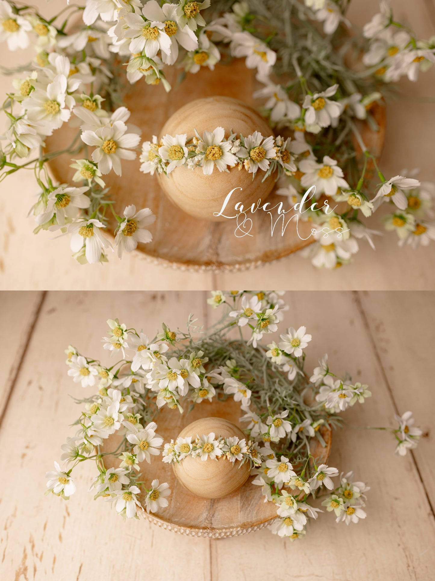 Daisies Styled Set