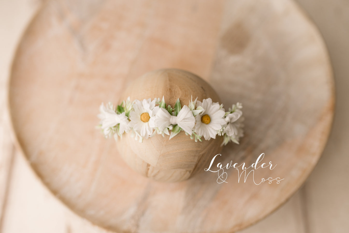 Daisy halo