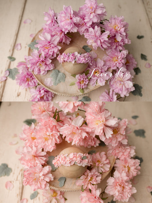 Aster Floral Set