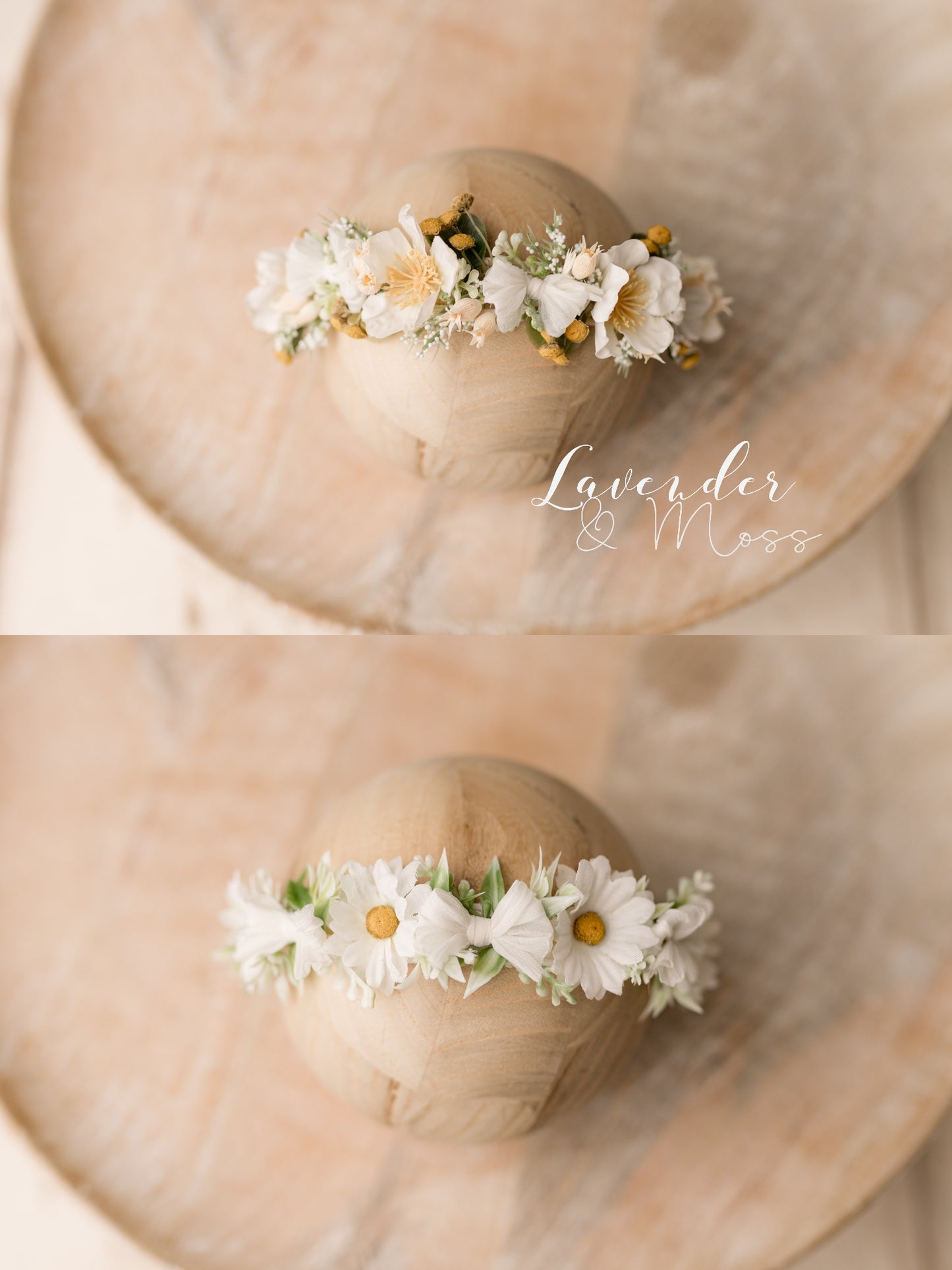 Daisy halo