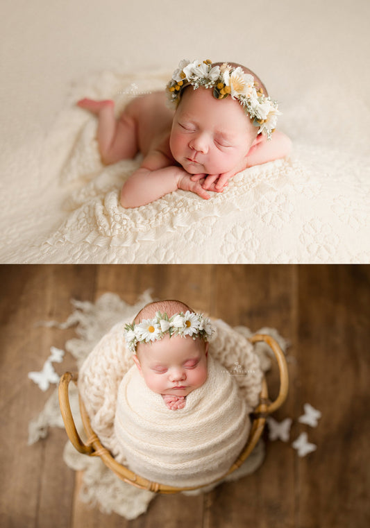 Daisy halo