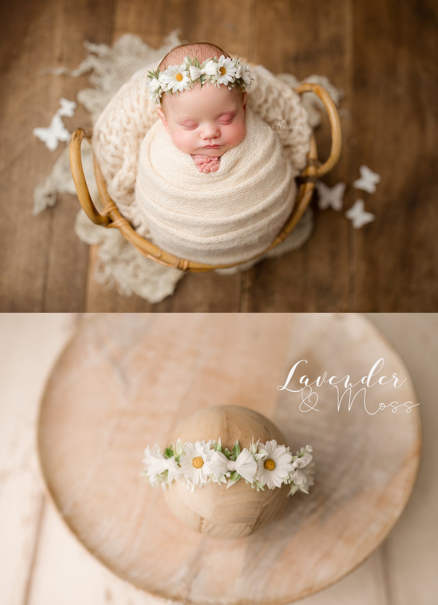 Daisy halo