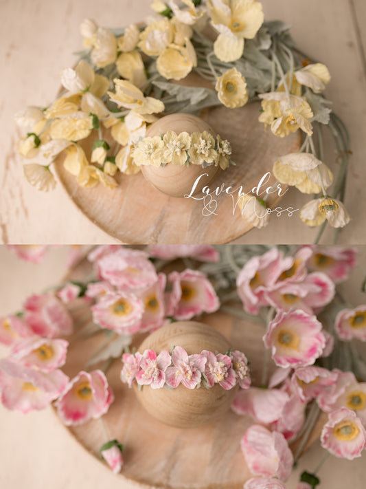 Pastel  Poppies Floral Set