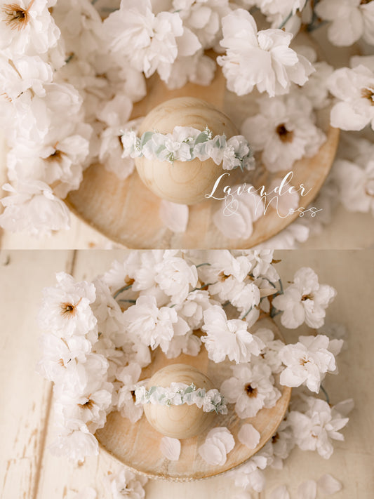 Adeline Styled Set