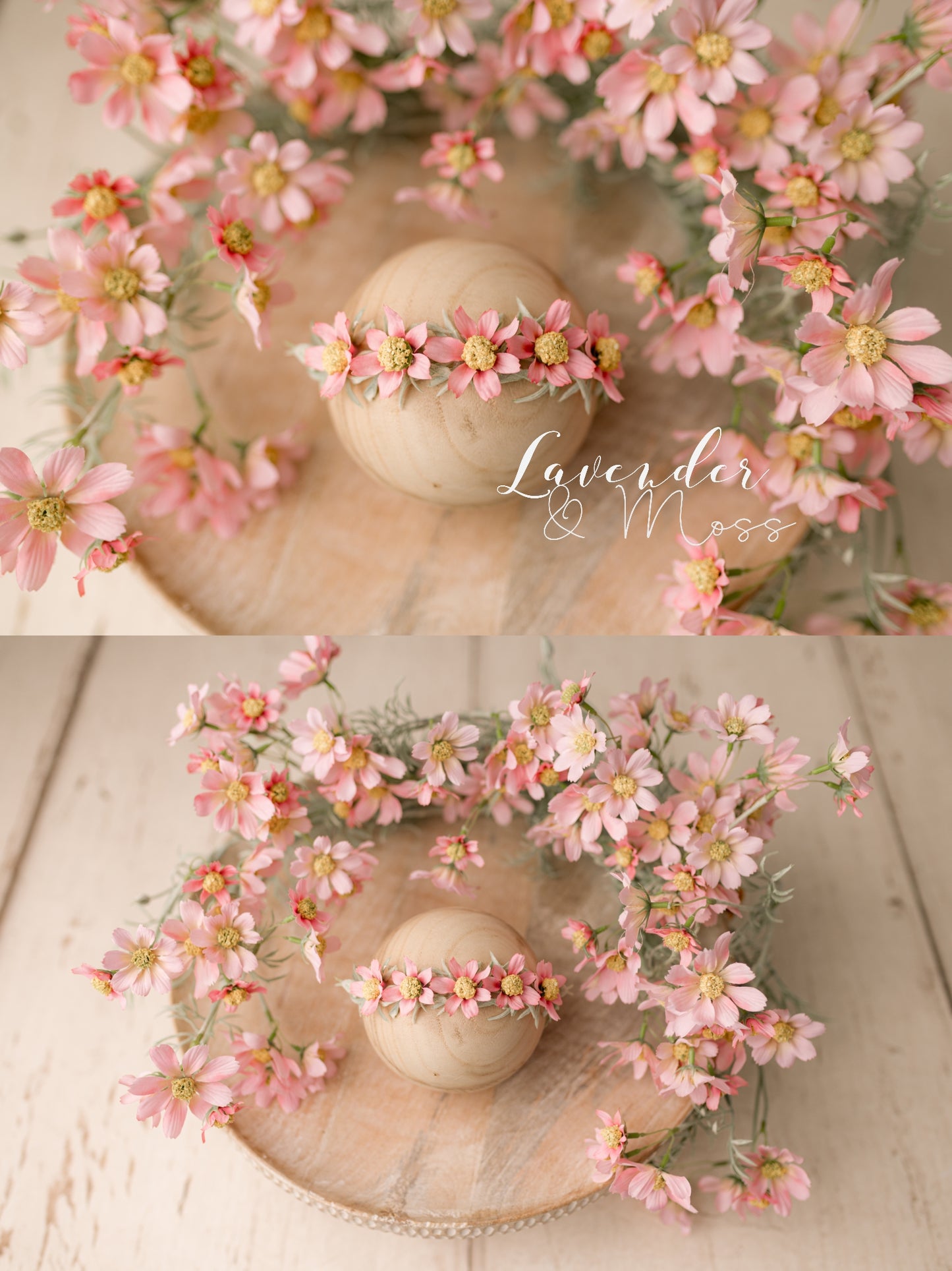 Daisies Styled Set