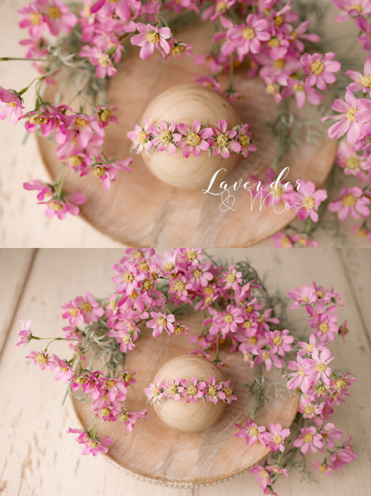 Daisies Styled Set