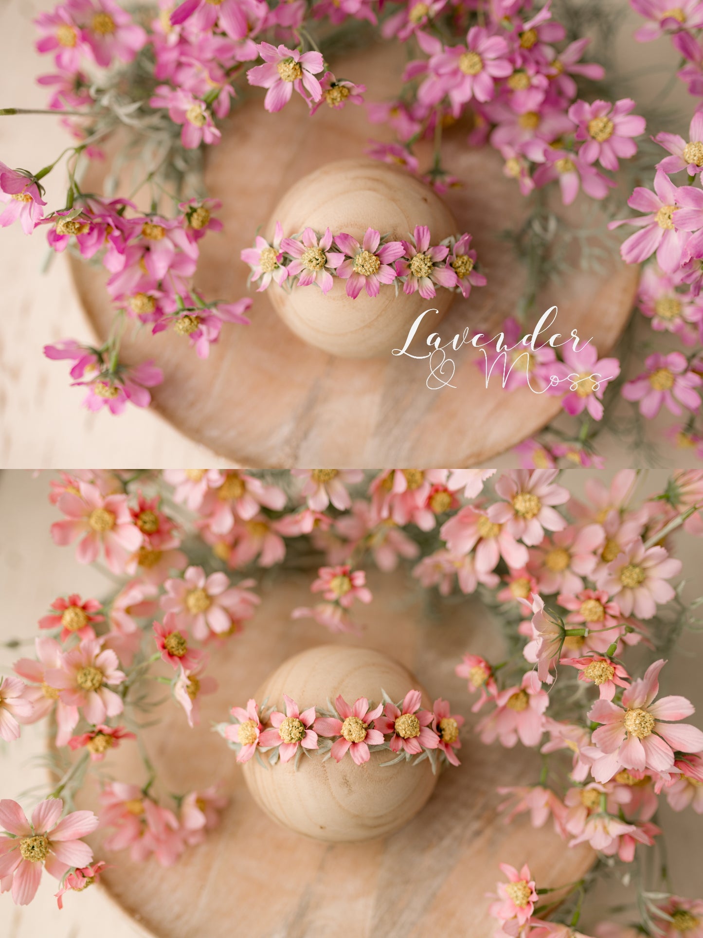 Daisies Styled Set