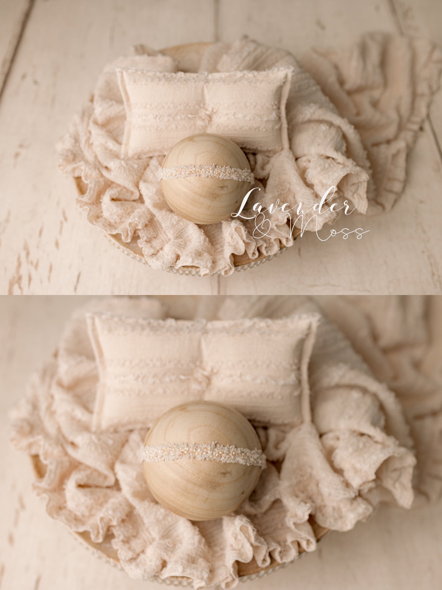 Paloma Studio Set