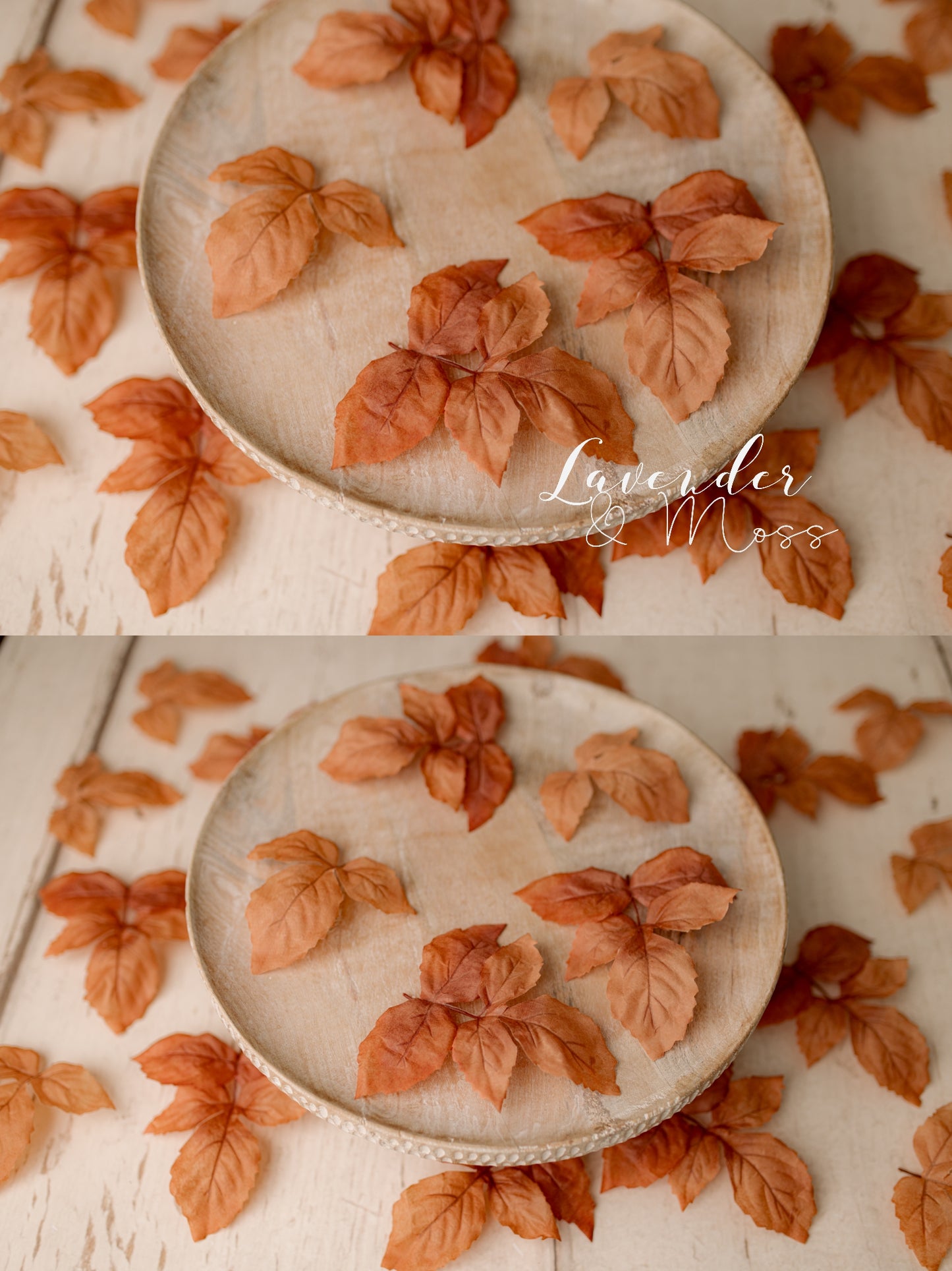 Silk Leaves