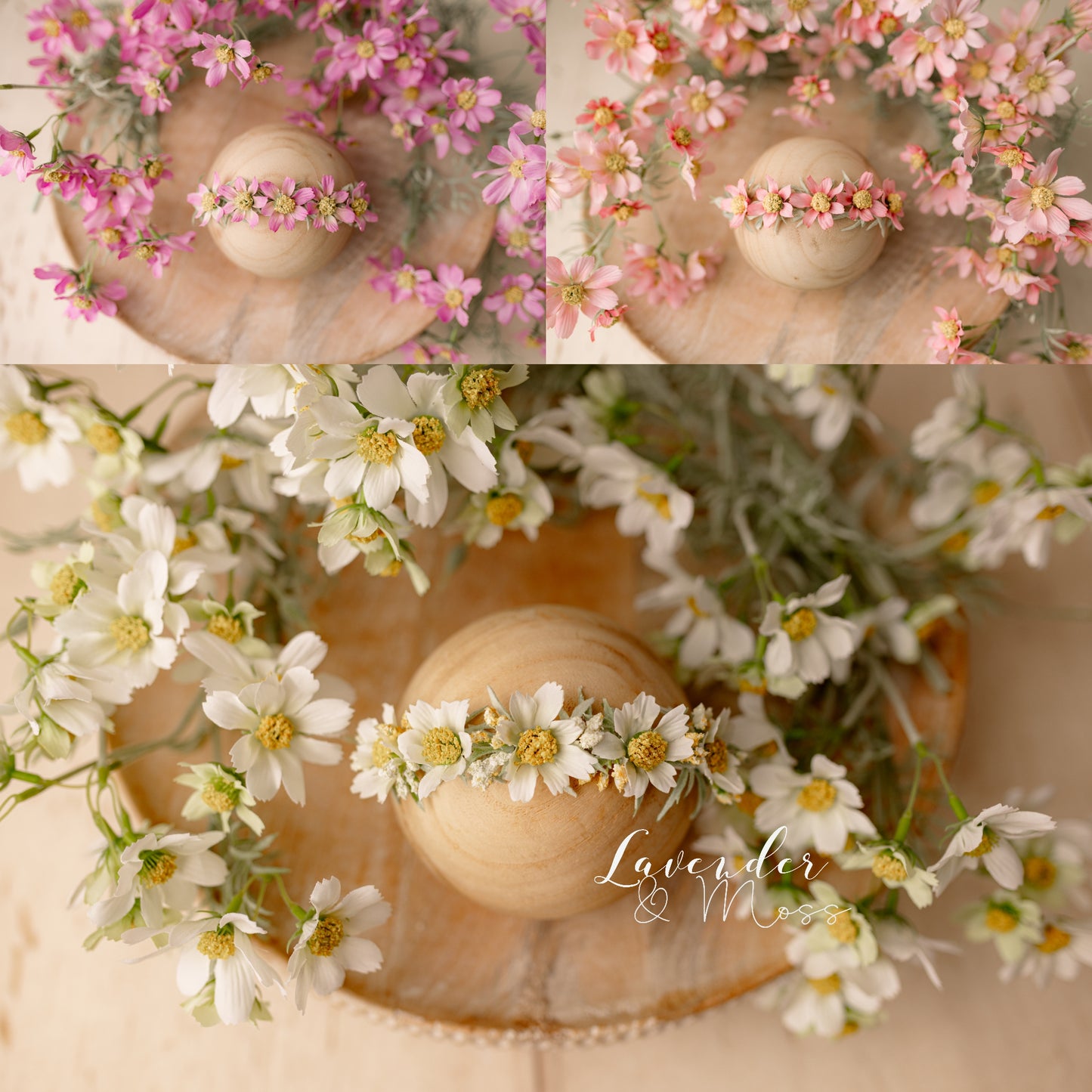 Daisies Styled Set