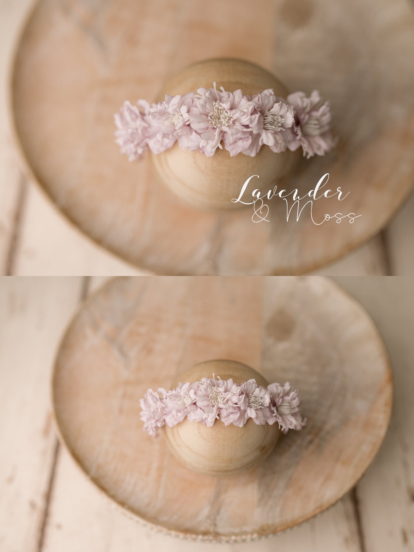 Primrose Halo